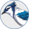 Bluejay, BLHeli_S, AM32 Конфигуратор онлайн